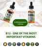 vitamin b12 for the normal function of the immune system