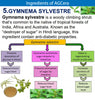 Gymnema sylvestre  to help regenerate insulin and B-cells