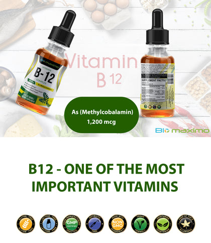vitamin b12 for the normal function of the immune system